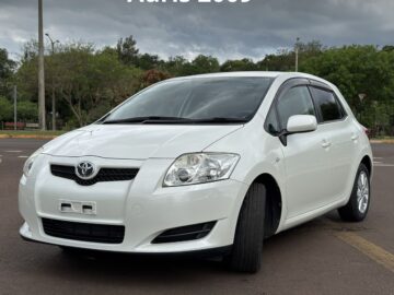 T. Auris 2009