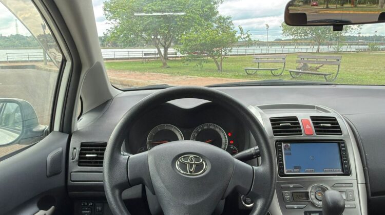 T. Auris 2009