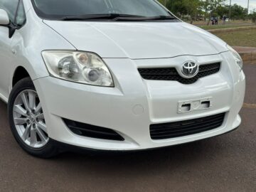 T. Auris 2009