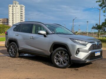 T. Rav4 HV 2024