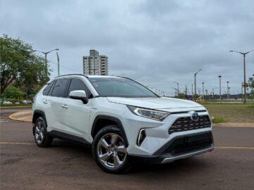 T. Rav4 HV 2020